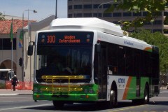 Bus-367-Alinga-Street