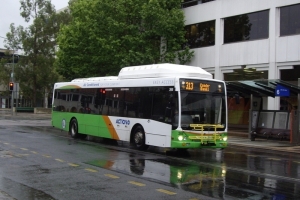 BUS 368-2