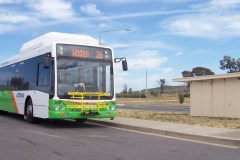 Bus-368-Chapman-Terminus