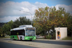 BUS368 - Ellerston Avenue