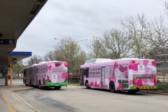 Bus371-Woden-Interchange-with-Bus515