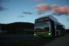 Bus-372-Box-HIll-Avenue-2