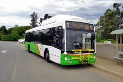 Bus-372-National-Zoo-and-Aquarium