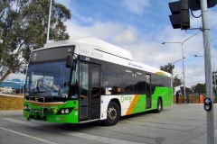 Bus-379-Cohen-Street-Station