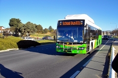 Bus-379-Commonwealth-Avenue