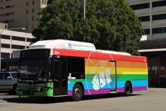 Bus-379-Woden-Bus-Station-4