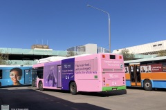 Bus379-Woden-Interchange