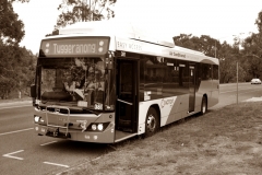 Bus381-FloreyDr