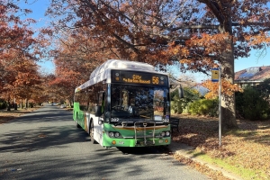 BUS 382-2