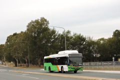Bus-384-O-Halloran-Circuit