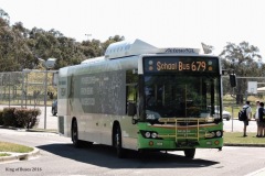 Bus-385-Mackillop-CLG-Isabella-Plains