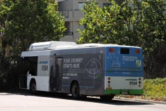 Bus-385-Tuggeranong-Bus-Station-2-