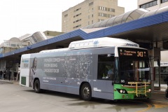 Bus-385-Woden-Bus-Station-1-