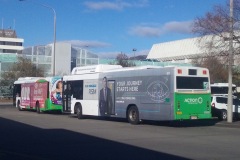 Bus-385-Woden-Bus-Station-with-Bus-579-