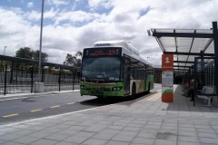 Bus 386-Westfield Belconnen