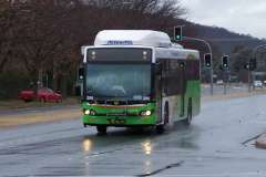Bus-386-Antill-Street