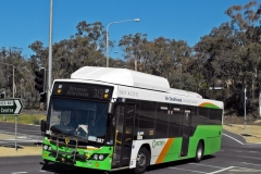 Bus-387-Haydon-Drive