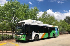 Bus-387-Woden-Bus-Station