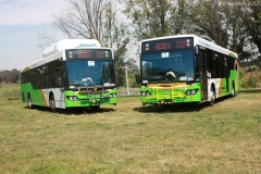 Bus-389-and-Bus-390-2