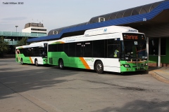Bus-389-and-Bus-390-3