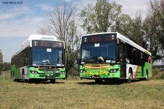 Bus-389-and-Bus-390