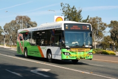 Bus390-CohenSt-1