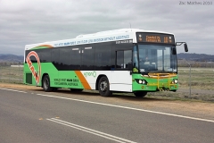 Bus390-SchergerDr-1