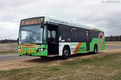 Bus390-SchergerDr-2