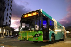 BUS394 - Woden Interchange