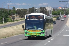 Bus-398-Kings-Avenue