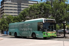 Bus-403-Woden-Bus-Station