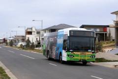 Bus-405-Langtree-Crescent