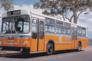 BUS 415-1