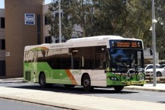 Bus424 - Cameron Ave