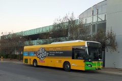 Bus427-BradleySt