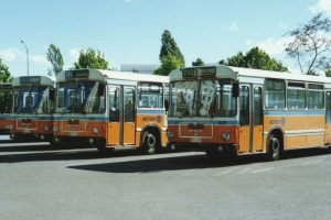 BUS 428-1