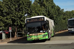 Bus-429-Woden-Bus-Station-with-3684MO-
