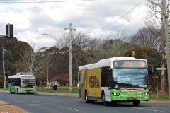 Bus-435-Antill-Street-with-Bus-372-