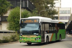 Bus-435-Woden-Bus-Station