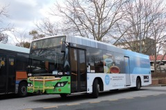 Bus-436-Tuggeranong-Bus-Station