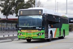 Bus 437 - Belconnen Community Interchange