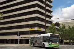 Bus-437-University-Avenue