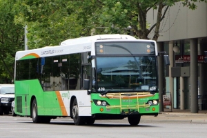 BUS 439-2