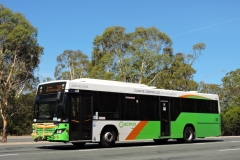 BUS 439 - BELCONNEN WAY