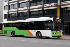 BUS 439 - CITY INTERCHANGE