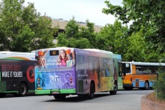 Bus-441-Tuggeranong-Bus-Station-2-