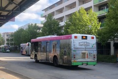 Bus-443-Tuggeranong-Bus-Station-2