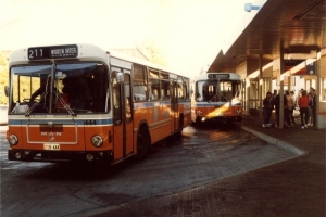 BUS 444-1