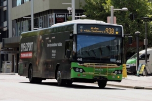 BUS 445-2