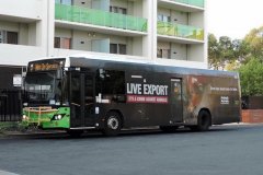 BUS 446 - TUGGERANONG INTERCHANGE